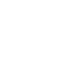 پوما – Puma - نوپا قشم